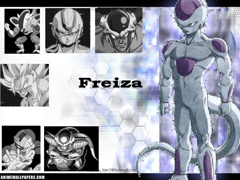 friezawall.jpg