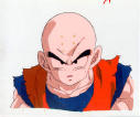 krillin.jpg