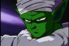 piccolo.jpg