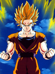 ssj.jpg